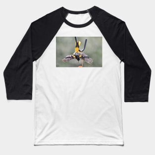 Nosedive... Baseball T-Shirt